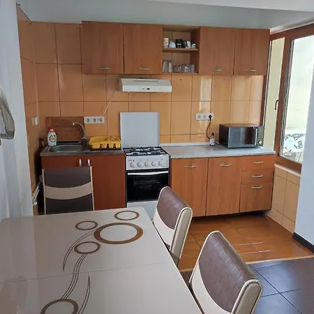 Vila Sandu Villa *